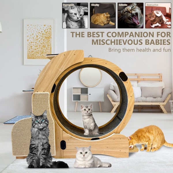 English Elm 5-in-1 Solid Wood Cat Activity Center with Running Wheel Climbing Frame and Litter Station W1790112807