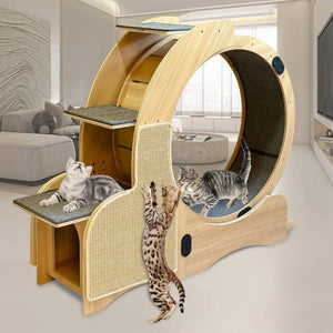 English Elm 5-in-1 Solid Wood Cat Activity Center with Running Wheel Climbing Frame and Litter Station W1790112807
