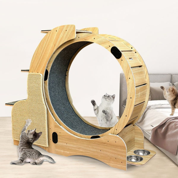 English Elm 5-in-1 Solid Wood Cat Activity Center with Running Wheel Climbing Frame and Litter Station W1790112807