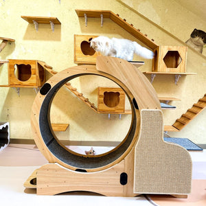 English Elm 5-in-1 Solid Wood Cat Activity Center with Running Wheel Climbing Frame and Litter Station W1790112807