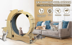 English Elm 5-in-1 Solid Wood Cat Activity Center with Running Wheel Climbing Frame and Litter Station W1790112807