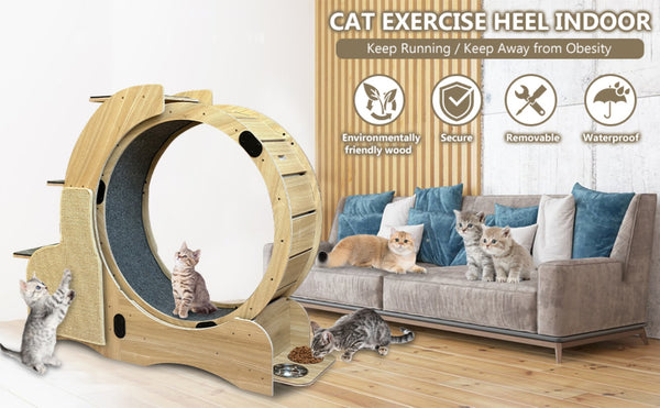 English Elm 5-in-1 Solid Wood Cat Activity Center with Running Wheel Climbing Frame and Litter Station W1790112807