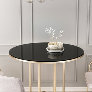 English Elm 36 Inch Black Tempered Glass Round Table Top with Polished Edge for Dining Patio W1265118639