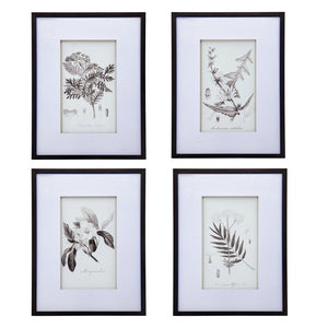 English Elm Set Of 4 Botanical Wall Art Prints – Elegant Home Decor For Living Room, Bedroom, And Hallway W2078130249-GIGA