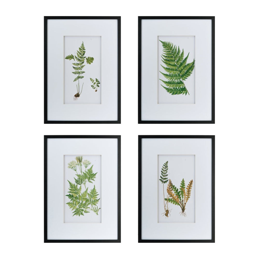 English Elm 19" Framed Acrylic Botanical Wall Art Set of 2 Watercolor Leaf Panels for Home Decor White+Black W2078130254
