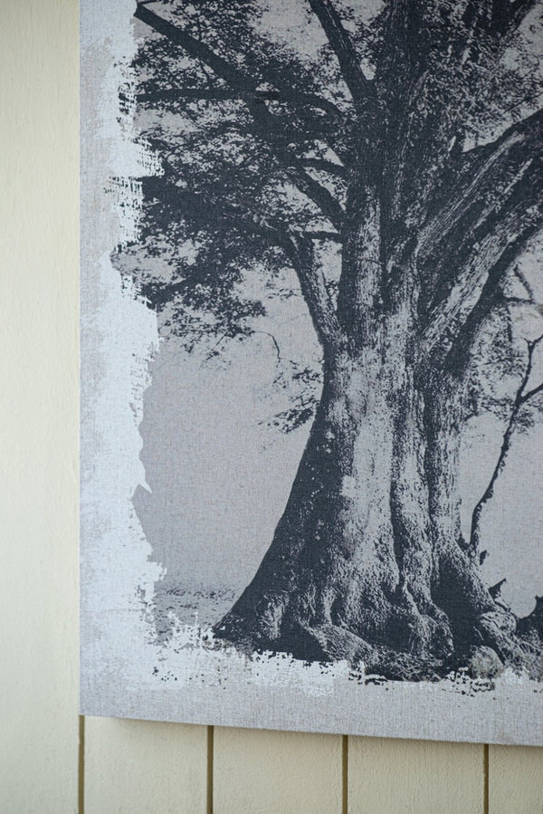 English Elm 59" Oversized Botanical Canvas Print Charcoal Arboreal Art for Living Room Walls W2078130253