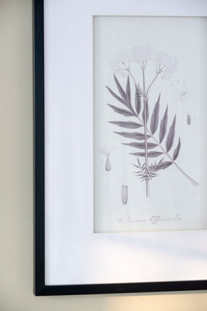 English Elm Set Of 4 Botanical Wall Art Prints – Elegant Home Decor For Living Room, Bedroom, And Hallway W2078130249-GIGA