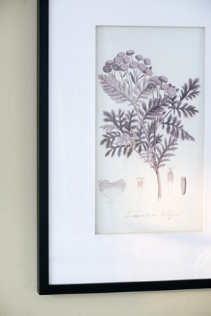 English Elm Set Of 4 Botanical Wall Art Prints – Elegant Home Decor For Living Room, Bedroom, And Hallway W2078130249-GIGA