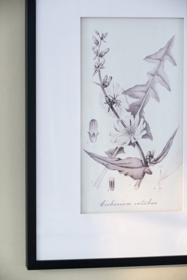 English Elm Set Of 4 Botanical Wall Art Prints – Elegant Home Decor For Living Room, Bedroom, And Hallway W2078130249-GIGA