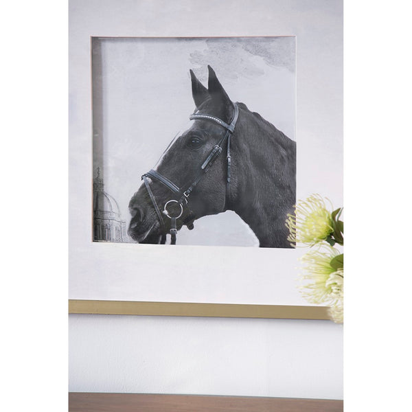 English Elm Set of 2 Black and White Horse Prints Gold Framed Wall Art for Living Room Decor W2078130276