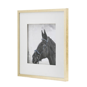 English Elm Set of 2 Black and White Horse Prints Gold Framed Wall Art for Living Room Decor W2078130276