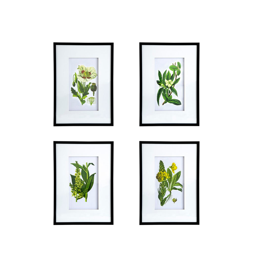 English Elm 19" Framed Acrylic Botanical Wall Art Set of 2 Watercolor Leaf Panels for Home Decor White+Blue W2078130294