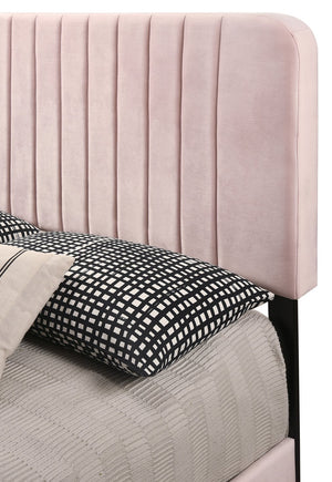 English Elm Contemporary Velvet Full Bed with Durable Frame, Lively Finish and Modern Lines for Stylish Bedrooms Pink 27 L x 60 W x 5 H B078107878