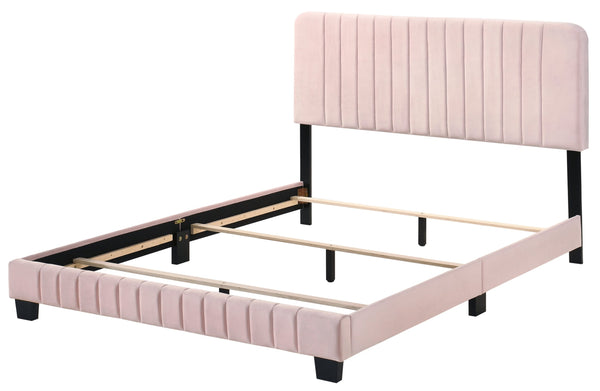 English Elm Contemporary Velvet Full Bed with Durable Frame, Lively Finish and Modern Lines for Stylish Bedrooms Pink 27 L x 60 W x 5 H B078107878