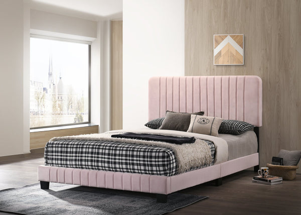 English Elm Contemporary Velvet Full Bed with Durable Frame, Lively Finish and Modern Lines for Stylish Bedrooms Pink 27 L x 60 W x 5 H B078107878