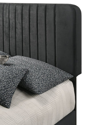 English Elm Sleek Lodi Full Bed with Channel Tufted Velvet Upholstery, Wooden Legs and Sturdy Slats for Modern Bedrooms Black 27 L x 60 W x 5 H B078107882