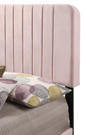 English Elm Charming Pink Channel Tufted Velvet Twin Bed with Wood Slats & Legs, 48"H x 43"W x 81"D, Ships Single Box B078107881