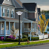 English Elm Solar Street Lamp Cap