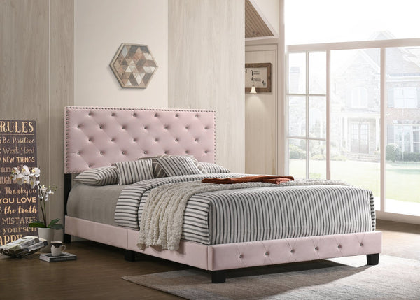 English Elm Charming Velvet Twin Bed with Hidden Storage Drawers, Casual Solid Frame, Easy Assembly Comfort Pink 24.6 L x 82 W x 5.5 H B078108023