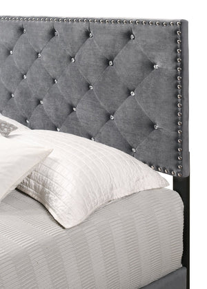 English Elm Sophisticated Velvet Gray Queen Bed — Durable Transitional Design, Quick Assembly, Comfort-Boosting Support for Any Room B078108001