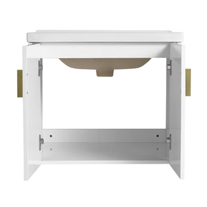 English Elm 24 Inch Wall-Mounted Bathroom Vanity with Ceramic Sink, Soft-Close Two-Door Storage, Modern Scratch-Resistant Finish W999132141