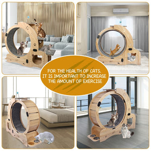 English Elm Cat Exercise Wheel 6in1 Wood Treadmill with Silent Pulleys House Shelf Feeding Station W1790133437