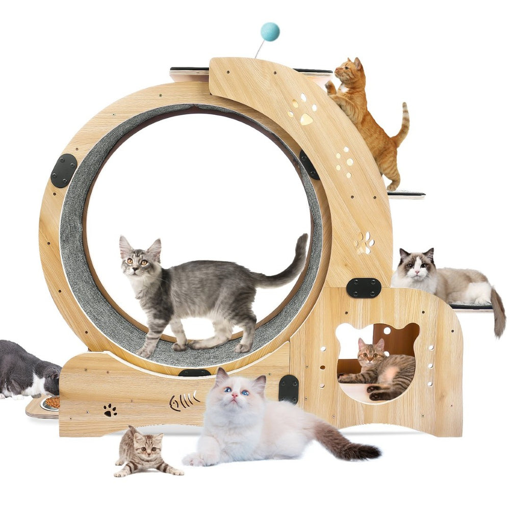 English Elm Cat Exercise Wheel 6in1 Wood Treadmill with Silent Pulleys House Shelf Feeding Station W1790133437