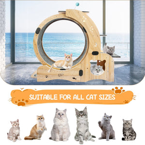 English Elm Cat Exercise Wheel 6in1 Wood Treadmill with Silent Pulleys House Shelf Feeding Station W1790133437