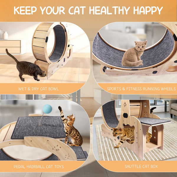 English Elm Cat Exercise Wheel 6in1 Wood Treadmill with Silent Pulleys House Shelf Feeding Station W1790133437