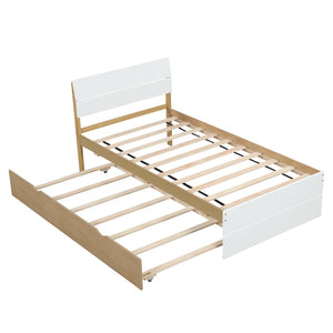 English Elm Modern Twin Bed with High Gloss Headboard Light Oak Trundle for Compact Spaces White + Light Oak W697131327