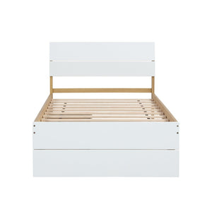 English Elm Modern Twin Bed with High Gloss Headboard Light Oak Trundle for Compact Spaces White + Light Oak W697131327