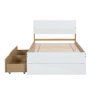 English Elm Modern Twin Bed with High Gloss Headboard Light Oak Trundle for Compact Spaces W697131330