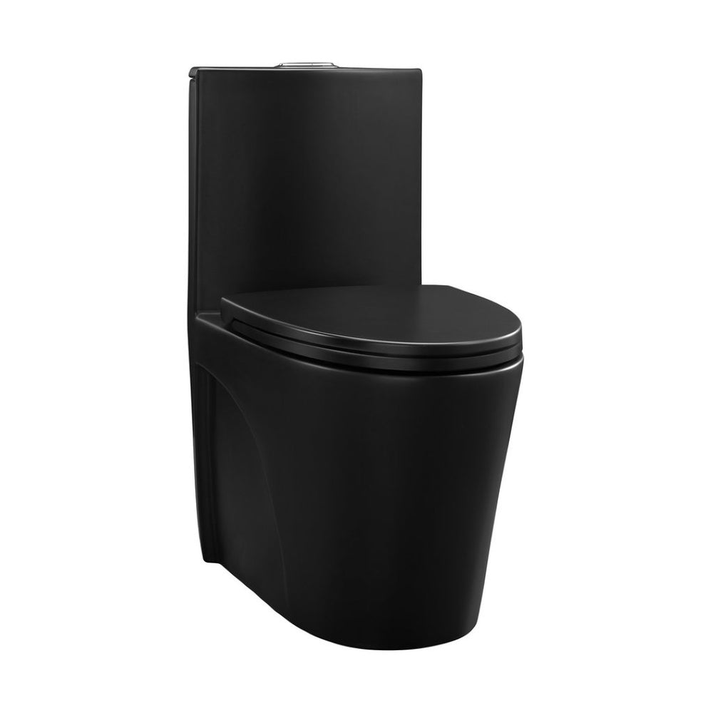 English Elm One-piece Elongated Ceramic Toilet Dual Flush Ada Comfort Height Glossy White Bath Black W1920P385350