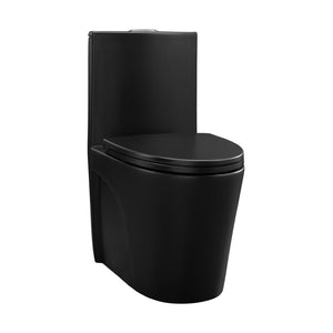 English Elm One-piece Elongated Ceramic Toilet Dual Flush Ada Comfort Height Glossy White Bath Black W1920P385350