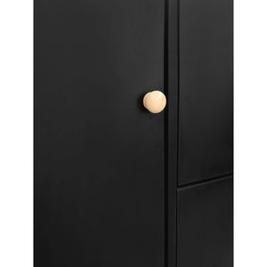 English Elm Black Hall Tree Foyer Cabinet Flip Shoe Storage Tempered Glass Hooks Shelf SD000028AAB