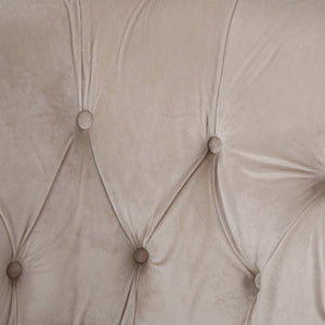 English Elm Christopher Knight Home® - CLUB Velvet Accent Chair with Kiln-Dried Legs — Plush Mid-Century Design, Compact Luxurious Seating Champagne 33 L x 30 W x 25 H 59259.00NVLTCHM