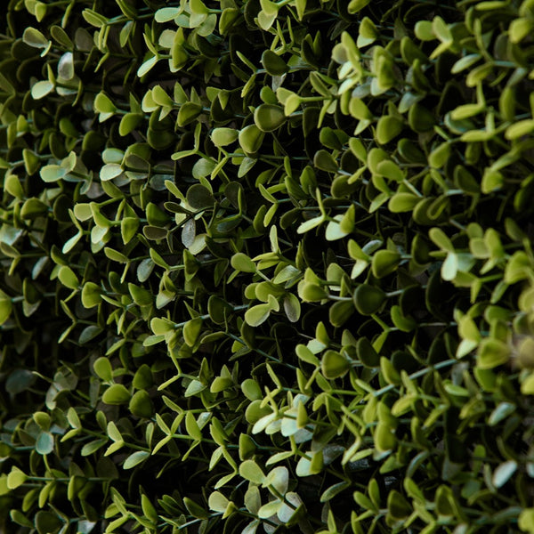 English Elm Artificial Boxwood Wall Panels Uv Resistant Pe Hedge Coverage for Fence Patio Decor W2225142620
