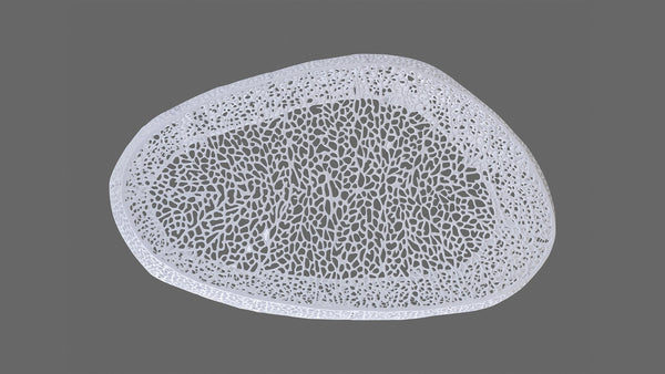 English Elm T3601-50 Oval Coffee Table — Sleek Cast Aluminum Frame, Modern Contemporary Centerpiece for Stylish Living Rooms White G150108427