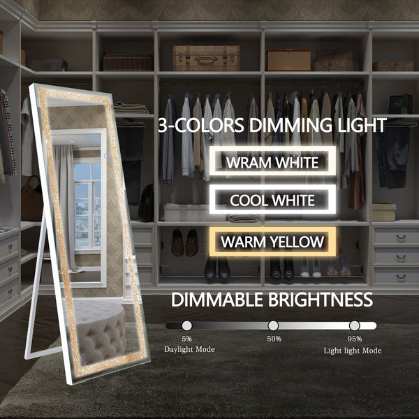 English Elm LED Mirror Lamp With Lights Full-Length Floor & Wall Vanity Mirror, Shatterproof HD Glass, Sleek Frame W2312141726