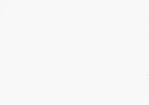 English Elm Classic Transitional 5pc Dining Set with Lattice-Back Side Chairs and Solid Wood Table, Durable Finish White 51.75 L x 40 W x 11.25 H B011P144224