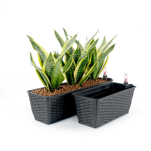 English Elm 2-Pack Elegant Self-Watering Rectangle Planters - Hand-Woven Wicker In Espresso For Indoor/Outdoor Use B046P144635
