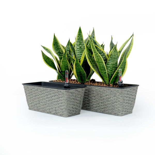 English Elm 2-Pack Hand-Woven Self-Watering Rectangular Planters - Elegant Wicker Design For Indoor & Outdoor Use B046P144634