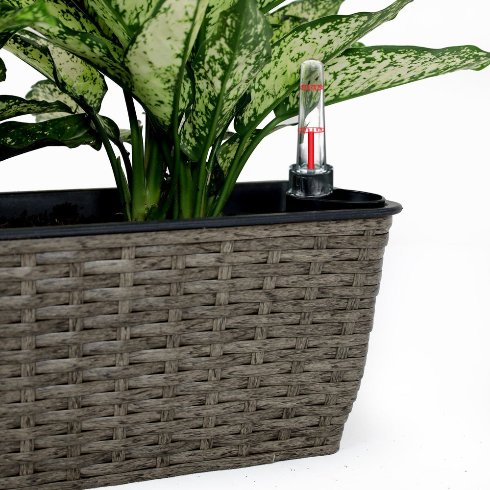 English Elm 2-Pack Self-Watering Planters - Hand-Woven Dark Gray Wicker For Effortless Indoor & Outdoor Style B046P144690