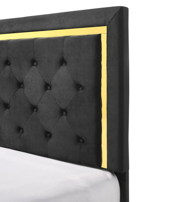 English Elm Contemporary Glam Queen Fabric Upholstered Panel Bed with Gold Accents, Button-Tufted Elegance, Modern Centerpiece Black 82.9 L x 40 W x 8.5 H B011S00759