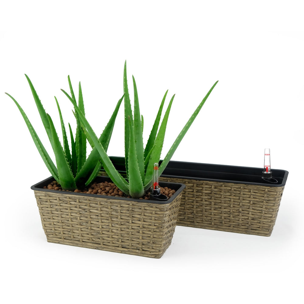 English Elm 2-Pack Hand-Woven Self-Watering Rectangle Planters - Eco-Friendly Wicker For Indoor & Outdoor Use B046P144633