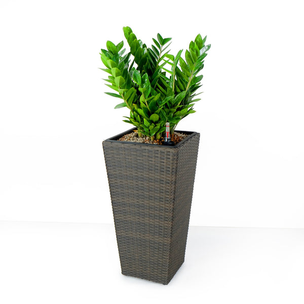 English Elm 2-Pack Self-Watering Planters - Hand-Woven Wicker Squares - Eco-Friendly & Stylish Home Decor B046P144638