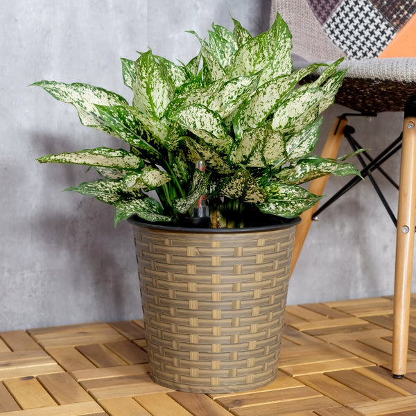 English Elm 10.2" Self-watering Wicker Planter Pot with Plastic Liner — Handwoven Eco-Friendly Décor for Indoor Outdoors Natural B046P144645