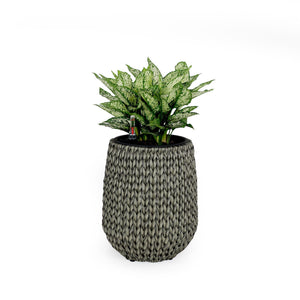 English Elm 13.4" Self-watering Wicker Planter with Plastic Liner for Indoor & Outdoor Plants, Handwoven Charm Gray B046P144670