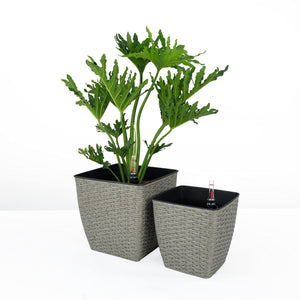 English Elm 2-Pack Self-Watering Planters - Hand-Woven Wicker, Eco-Friendly, Versatile For Indoor & Outdoor Use B046P144630
