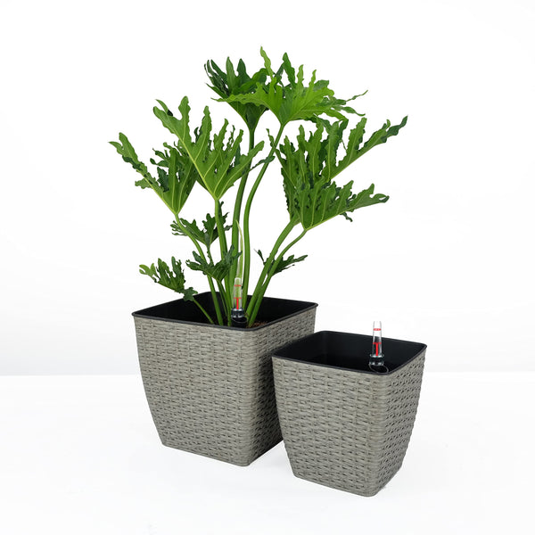 English Elm 2-Pack Self-Watering Planters - Hand-Woven Wicker, Eco-Friendly, Versatile For Indoor & Outdoor Use B046P144630